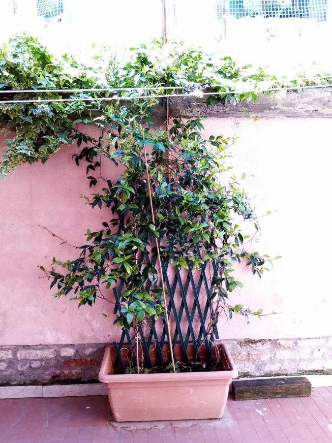 Biennale Flat Apartment Venice Ngoại thất bức ảnh